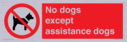 no-dogs-except-assistance-dogs~
